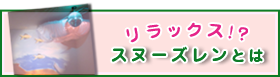 スヌーズレンとは